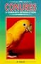 Conures: A Complete Introduction