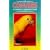 Conures: A Complete Introduction