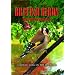 British Birds - Urban Birds in the Garden [DVD]