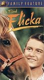 My Friend Flicka (Rpkg)