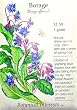 Borage Seeds
