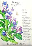51S0OLh7XiL. SL160  Borage Seeds 50 Seeds