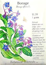 Borage Seeds