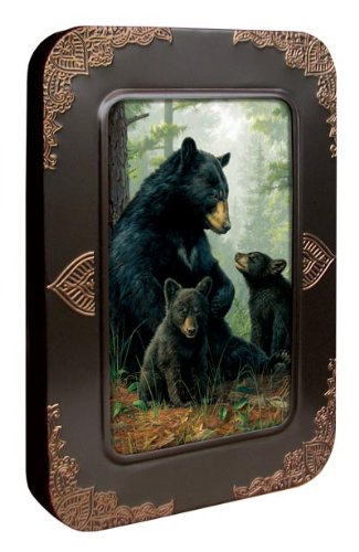 Tree-Free Greetings Noteables Notecards In Reusable Embossed Tin, 12 Card Assortment, Recycled, 4 x 6 Inches, Bear Family, Multi Color (76051)