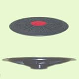 FitBALL 16in Balance Board