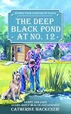 Deep Black Pond At No.12 (Stories from Canterbury Place)