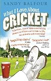 What I Love About Cricket: One Man s Vain Attempt to Explain Cricket to a Teenager who Couldn t Give a Toss
