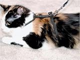 Cat Harness Black