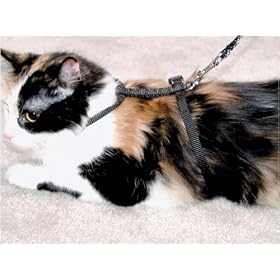 Cat Harness Black by Leatherite