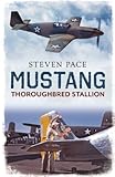 Mustang: Throughbred Stallion