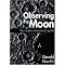 Essential Astronomy.