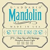 D'Addario J73 Mandolin Strings, Phosphor Bronze, Light, 10-38