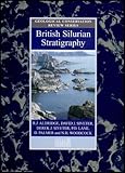 British Silurian stratigraphy