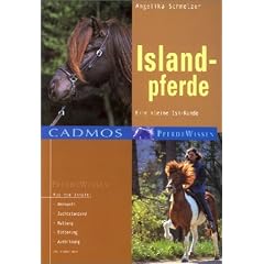 Islandpferde: Eine kleine Isi-Kunde