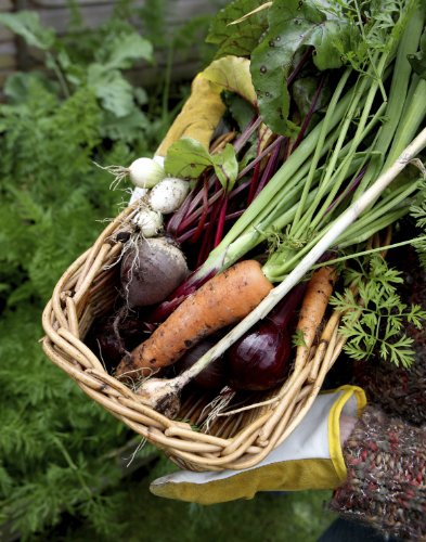 Make The Organic Choice: Why Eating Organic Foods is the Best Thing You Can Do For Your Familys Health