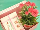 母の日ギフト♪信玄桃とカーネーションのセット | ギフト