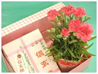 母の日ギフト信玄桃とカーネーションのセット 