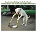 Dog Training: Picking the Perfect Pooch, Training Basics & Housebreaking Breakthroughs!