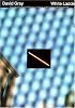 David Gray David Gray-White Ladder-Piano/vocal/guitar-Music Book