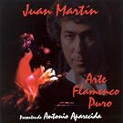 Arte Flamenco Puro