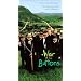 Essential Irish Movies