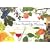 Vins ap�ritifs maison