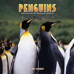 Penguins Wall Calendar 2005