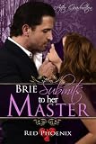 Brie Submits to her Master (After Graduation, #2) 