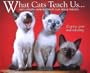 What Cats Teach Us