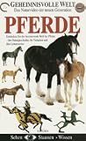 Eigenschaften Euro Video  / Geheimnisvolle Welt: Pferde