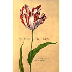Die Tulpe: Eine Kulturgeschichte (insel taschenbuch)
