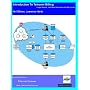 Introduction to Telecom Billing, Usage Events, Call Detail Records and Billing Cycles