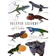 The Iguanid Lizards of Cuba