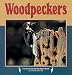 Woodpeckers (Nature Watch)