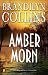 Amber Morn (Kanner Lake Series #4) by Brandilyn Collins