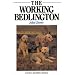 The Working Bedlington