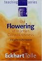 The Flowering of Human Consciousness / Region 1 /// US & Canada
