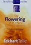 The Flowering of Human Consciousness / Region 1 /// US & Canada
