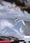 Spirit Horse