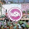 Image of album by Lush