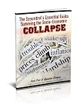 The Scoundrels Essential Survival Guide: Anarchy and Collapse