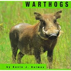 Warthogs (Bridgestone Animals)