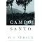 Read Sebald Now