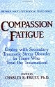 Compassion Fatigue: Secondary Traumatic Stress Disorders In Those Who Treat The Traumatized (Series in Psychosocial Stress)