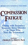 Compassion Fatigue: Secondary Traumatic Stress Disorders In Those Who Treat The Traumatized (Series in Psychosocial Stress)