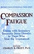Compassion Fatigue: Secondary Traumatic Stress Disorders In Those Who Treat The Traumatized (Series in Psychosocial Stress)