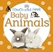 Touch and Feel: Baby Animals (Touch & Feel)