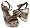 COACH ALINA PATCHWORK SIGNATURE SANDALS SHOES 8