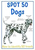 Spot 50 dogs