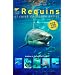 Requins et raies du monde entier